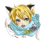つり目猫汰ん