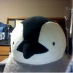 青いペンギン