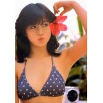 明菜