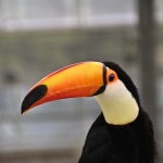 userPhoto