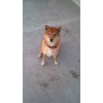 userPhoto