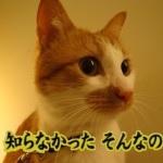 一般bot