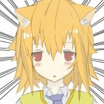 猫田