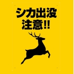 免許皆伝その2