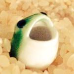 ケルンツ