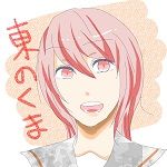 ひがしのくまちゃん
