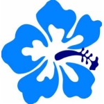 MrAloha