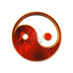 仮（陰to毛）