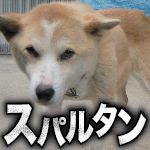 スパルタン
