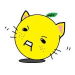 ゆずにゃん