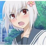 たゆた