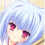 ろーぜん