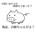 白豚
