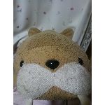 たまにゃん(まい)
