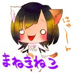 招猫