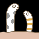 こまとん