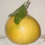 結花