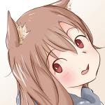 貝がら