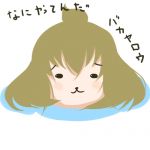 平和島静雄