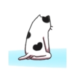 よっすぃ～