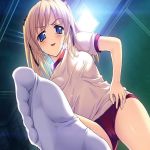 しゃも