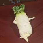 からす