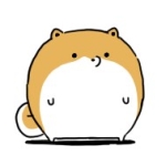 userPhoto