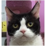 くーちゃん