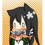 メイシア