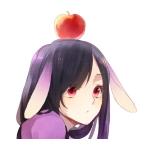 うさぎ子