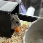 ユーザー画像