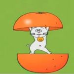 NILA【ニラ】