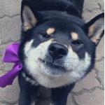 ｐｐｐｐｐｐｐ