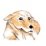 ユーザー画像
