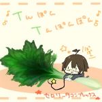 セロラー(元カビ)