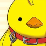 あおい
