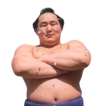 どるたろう