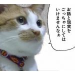 釣られクマー