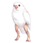 けぃし