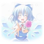 真！！チルノ