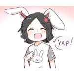 aozorasann345