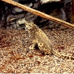 userPhoto