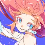 野ノ黄