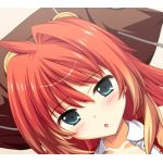 トリトナ