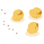 ぽん