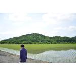 だんく。