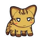 ヤママヤー