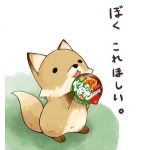 あや