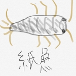 紙魚