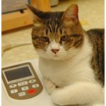 userPhoto